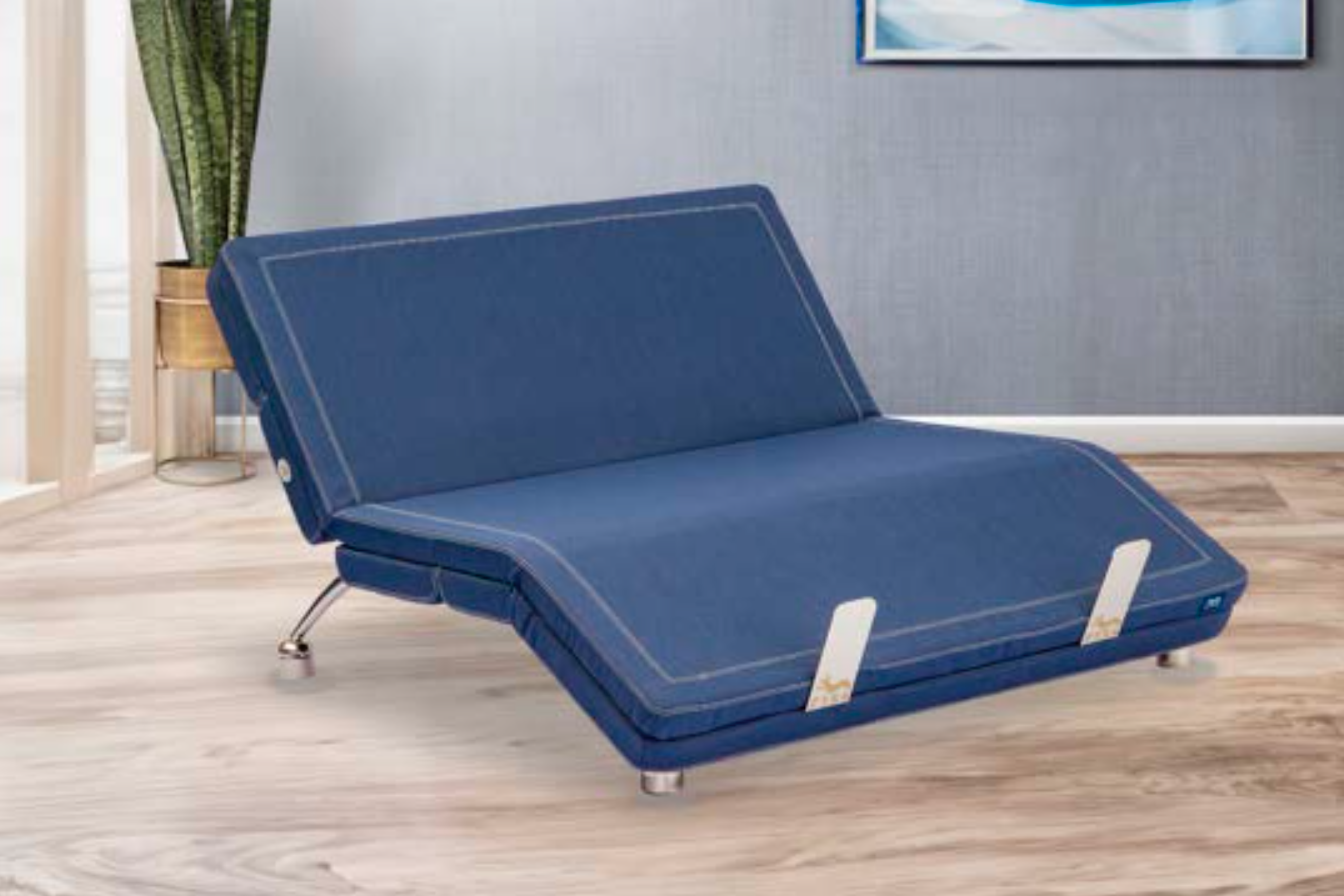 Rize Home Aviada Adjustable Base