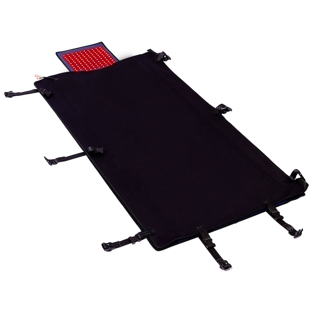 LUMYHEALTH™ Red Light Therapy Bag For Full Body