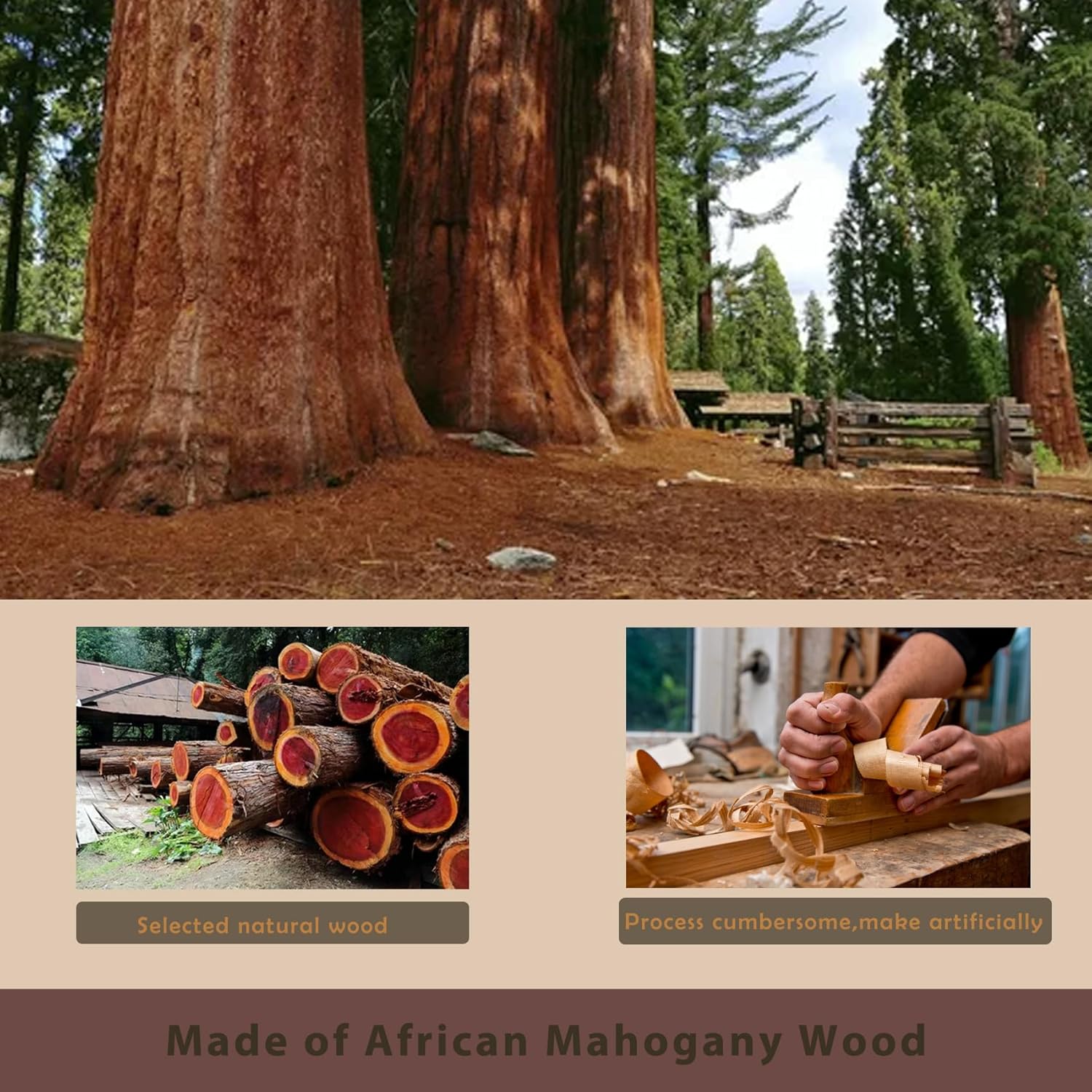 Deluxe 2‑Person Outdoor Mahogany Low EMF FAR Infrared Sauna – Bluetooth Audio & LED Chromotherapy