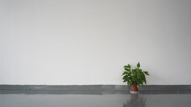 Dynamic "Santiago" 2 Person Low EMF FAR Infrared Sauna